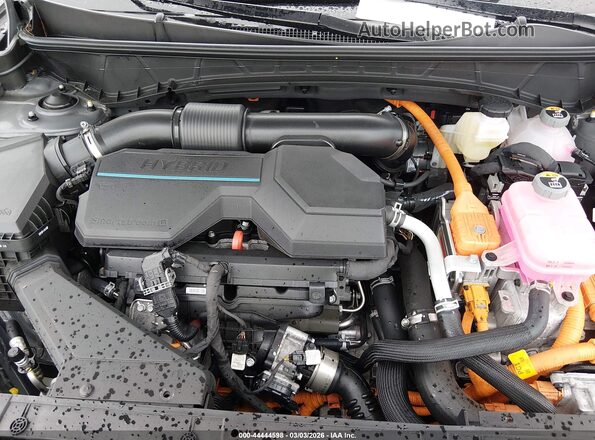 KM8JEDD17SU331200 2025 HYUNDAI TUCSON HYBRID Green Widok z tyłu