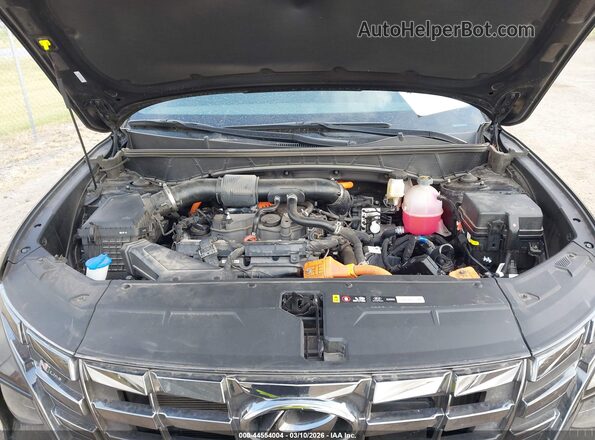 KM8JFCD15RU149481 2024 HYUNDAI TUCSON HYBRID Black Vista trasera