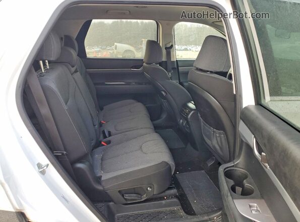 KM8R14HE4MU204435 2021 HYUNDAI PALISADE White უკანა სალონის ხედი