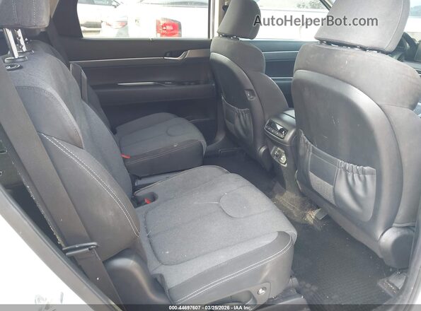 KM8R34HE5LU048897 2020 HYUNDAI PALISADE Белый 