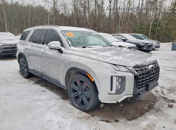 KM8R3DGE5RU738384 2024 HYUNDAI PALISADE Gray Przód prawy