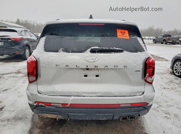 KM8R3DGE5RU738384 2024 HYUNDAI PALISADE Gray Widok z tyłu