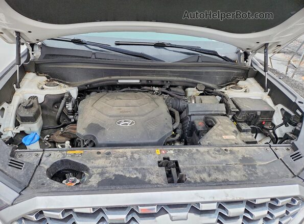 KM8R3DHE9LU156732 2020 HYUNDAI PALISADE White 