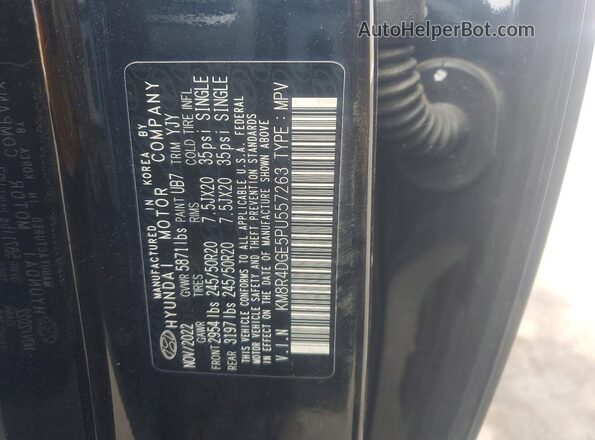 KM8R4DGE5PU557263 2023 HYUNDAI PALISADE Blue Панорамний вид салону 360°