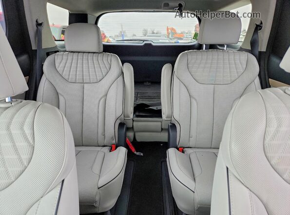 KM8R5DGEXPU624551 2023 HYUNDAI PALISADE Blue უკანა სავარძლების ხედი