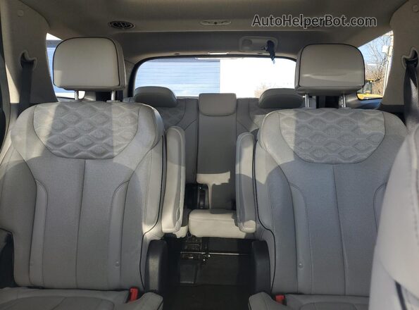 KM8R5DHEXMU234043 2021 HYUNDAI PALISADE Black Widok tylnych siedzeń
