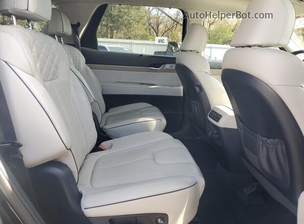 KM8R5DHEXMU234043 2021 HYUNDAI PALISADE Black Widok wnętrza z tyłu