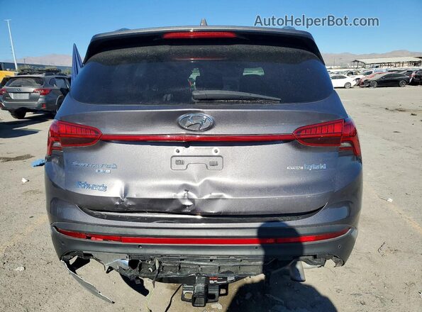 KM8S2DA16MU002637 2021 HYUNDAI SANTA Gray Հետևի տեսք