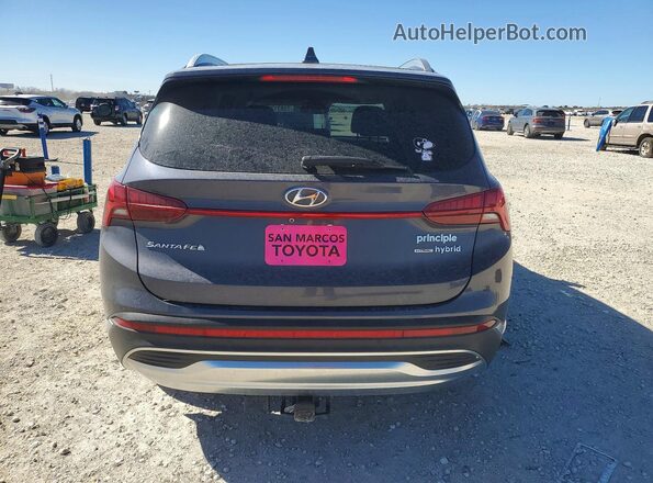 KM8S5DA14MU009643 2021 HYUNDAI SANTA Gray უკანა ხედი