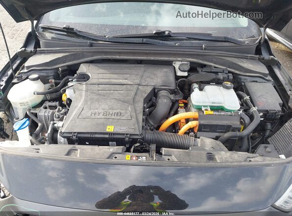 KMHC65LC0HU030078 2017 HYUNDAI IONIQ HYBRID Black Widok z tyłu