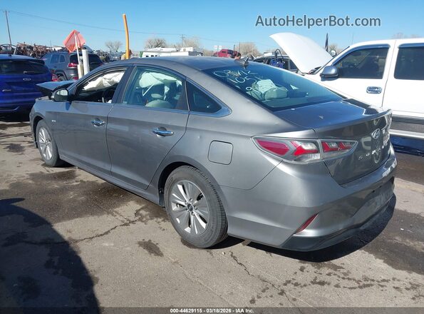 KMHE24L38KA084526 2019 HYUNDAI SONATA HYBRID Silver უკანა მარცხენა