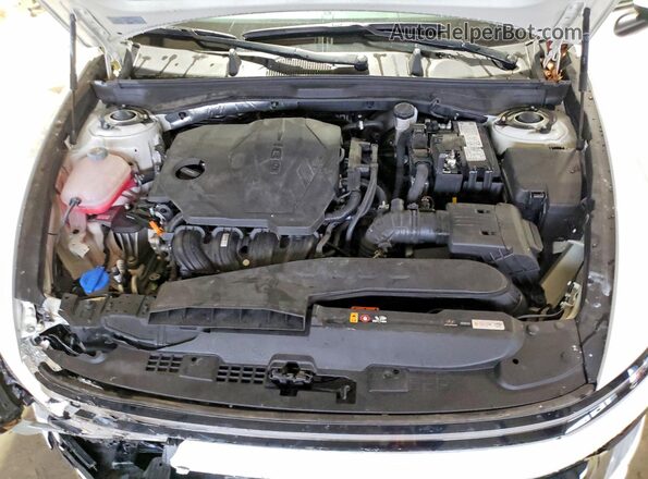 KMHL24JA3SA444570 2025 HYUNDAI SONATA Белый Вид задней части салона