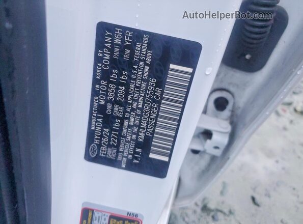 KMHLM4DG3RU755936 2024 HYUNDAI ELANTRA White 