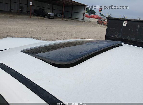 KMHLS4DG7SU007203 2025 HYUNDAI ELANTRA Белый 