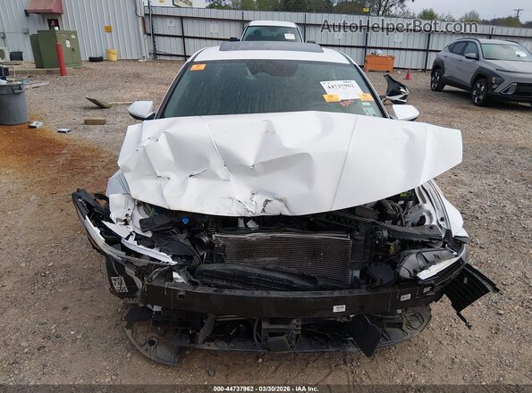 KMHLS4DG7SU007203 2025 HYUNDAI ELANTRA Белый Вид сзади