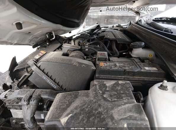 KMHLS4DG7SU007203 2025 HYUNDAI ELANTRA Белый 