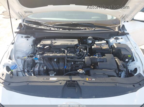 KMHLS4DGXSU070490 2025 HYUNDAI ELANTRA Белый Вид сзади