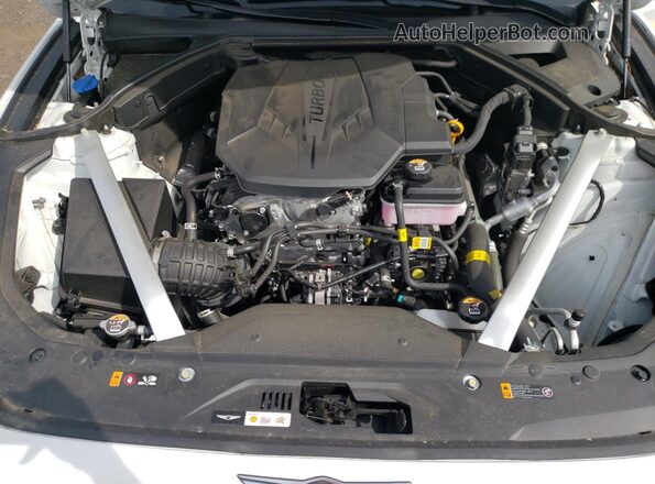 KMTG34SC2SU145879 2025 GENESIS G70 Белый Вид задней части салона