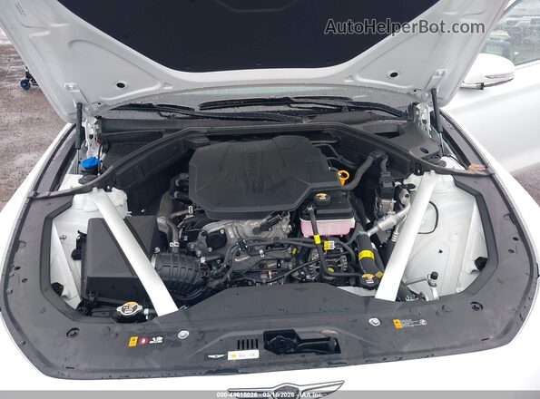 KMTG64SC4TU164149 2026 GENESIS G70 White Rear view