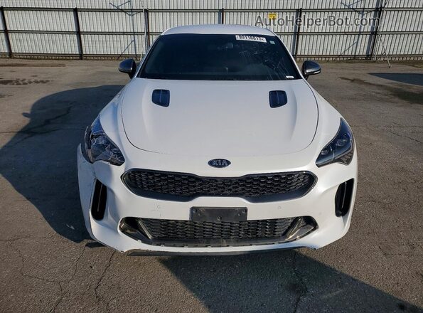 KNAE35LC5L6081480 2020 KIA STINGER White Widok z przodu