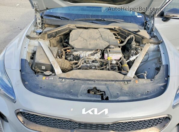 KNAE35LD3N6119235 2022 KIA STINGER Серый Вид задней части салона