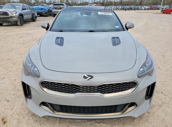KNAE45LC5L6072632 2020 KIA STINGER Gray Դիմացի տեսք