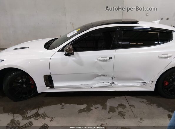 KNAE55LC4J6040488 2018 KIA STINGER White Панорамний вид салону 360°