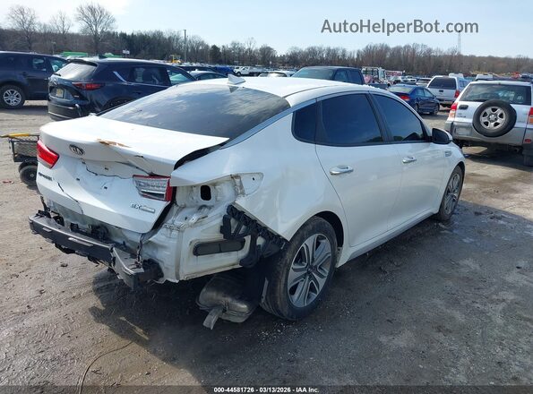 KNAGU4LE0H5012730 2017 KIA OPTIMA HYBRID White Tył prawy