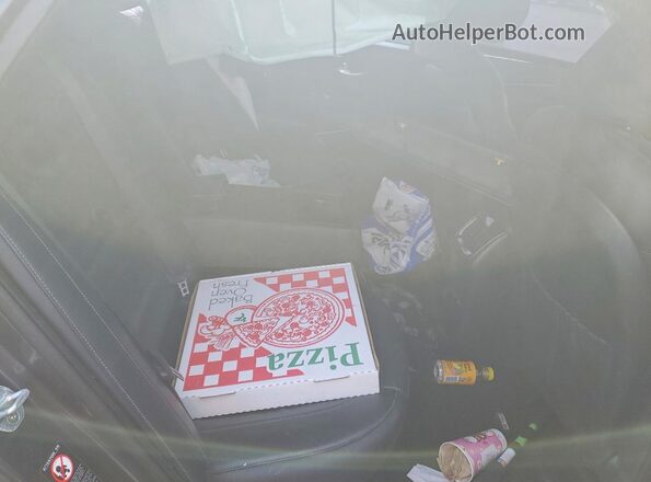 KNALB4J17H5039332 2017 KIA CADENZA Gray Vista de los asientos traseros