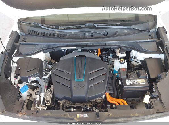 KNDCE3LG9K5025915 2019 KIA NIRO EV White უკანა ხედი