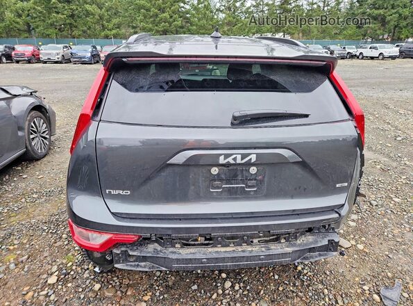 KNDCP3LE5S5306036 2025 KIA NIRO Gray Widok z tyłu