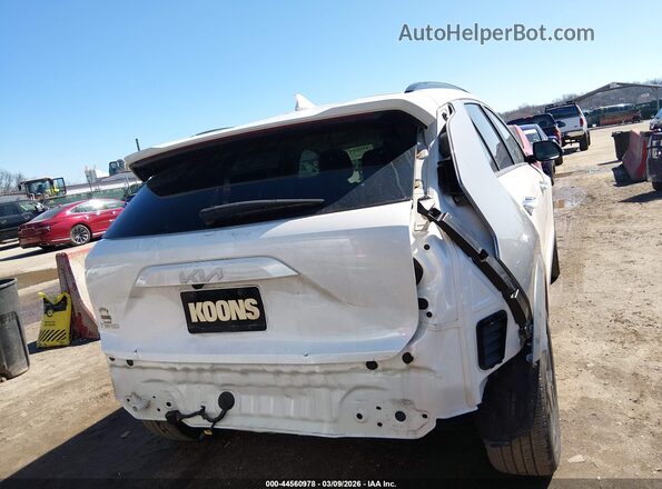 KNDCT3L17R5091388 2024 KIA NIRO EV White 