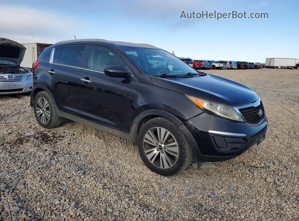 KNDPC3AC4G7847220 2016 KIA SPORTAGE Black Առջևի աջ