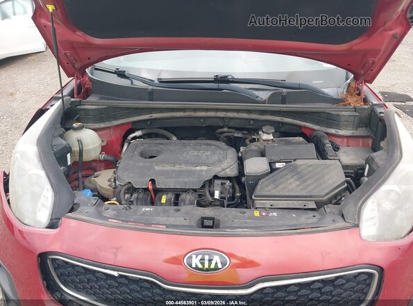 KNDPM3AC0H7135253 2017 KIA SPORTAGE Красный Вид сзади