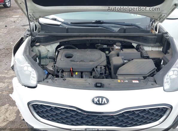 KNDPM3AC1L7732257 2020 KIA SPORTAGE White Rear view