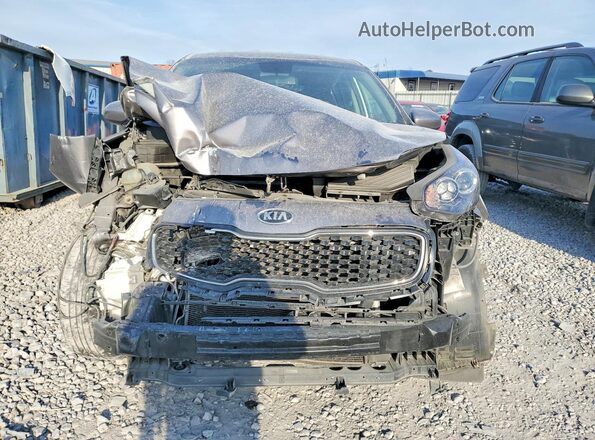 KNDPM3AC8K7493319 2019 KIA SPORTAGE Серый 