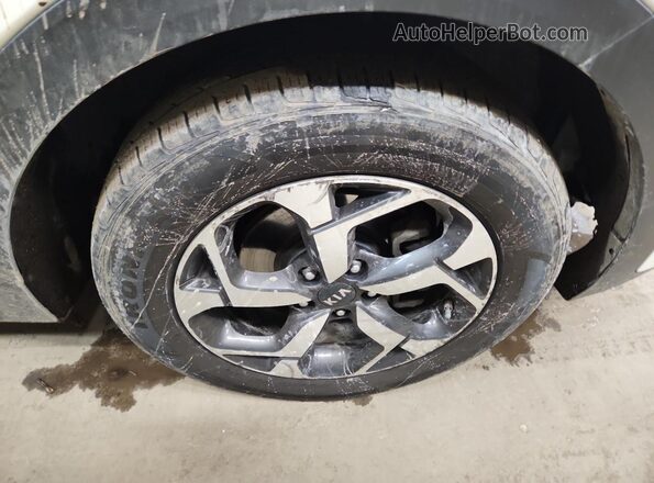 KNDPM3AC8M7932649 2021 KIA SPORTAGE Белый 