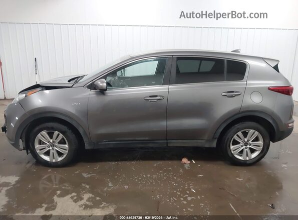 KNDPMCAC0J7445408 2018 KIA SPORTAGE Gray Вид задньої частини салону