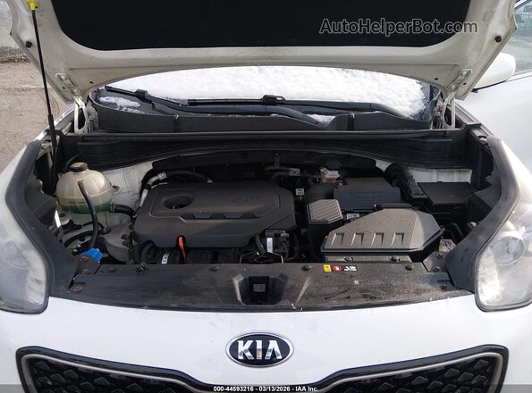 KNDPMCAC0K7495131 2019 KIA SPORTAGE White Հետևի տեսք