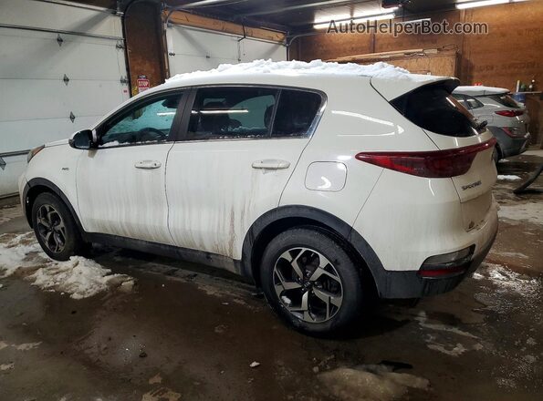 KNDPMCAC1M7862444 2021 KIA SPORTAGE Белый Задняя левая четверть
