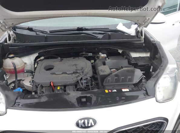 KNDPMCAC8M7933610 2021 KIA SPORTAGE Белый 