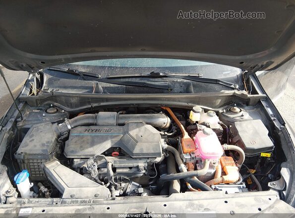 KNDPUCAG7P7061797 2023 KIA SPORTAGE HYBRID Black Widok z tyłu