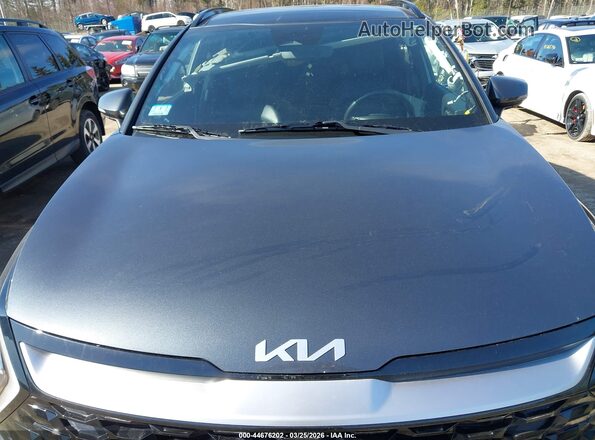 KNDPVCAG3P7031645 2023 KIA SPORTAGE HYBRID Gray 