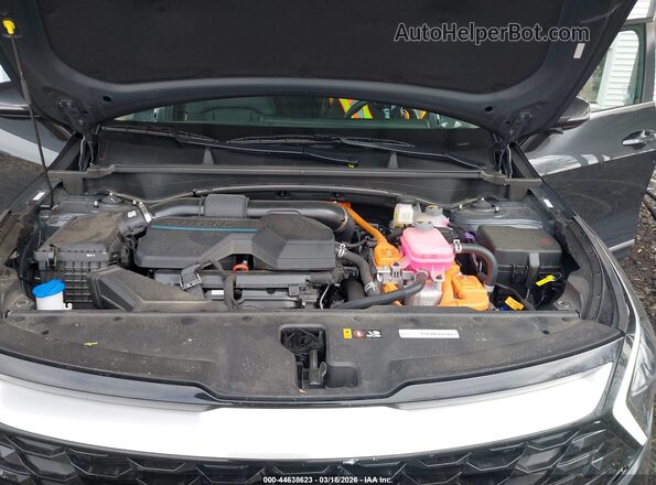 KNDPVCAG7P7099527 2023 KIA SPORTAGE HYBRID Gray Widok z tyłu