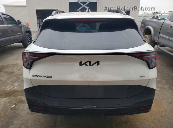 KNDPVDDG8T7279630 2026 KIA SPORTAGE White Widok z tyłu