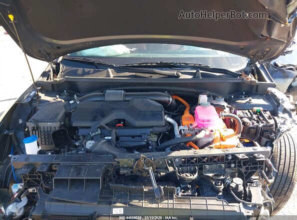 KNDPXCDG5S7244465 2025 KIA SPORTAGE HYBRID Black Вид ззаду
