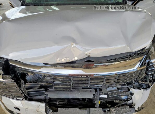 KNDPXDDG3T7276404 2026 KIA SPORTAGE Gray Սալոնի հետևի տեսք