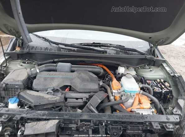 KNDPYDAH6P7062376 2023 KIA SPORTAGE PLUG-IN HYBRID Green Հետևի տեսք