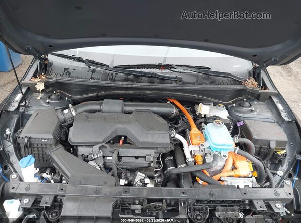 KNDPYDDH2S7246315 2025 KIA SPORTAGE PLUG-IN HYBRID Black Vista trasera