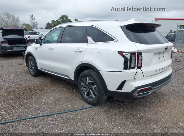 KNDRG4LG7M5036912 2021 KIA SORENTO HYBRID White Հետևի ձախ